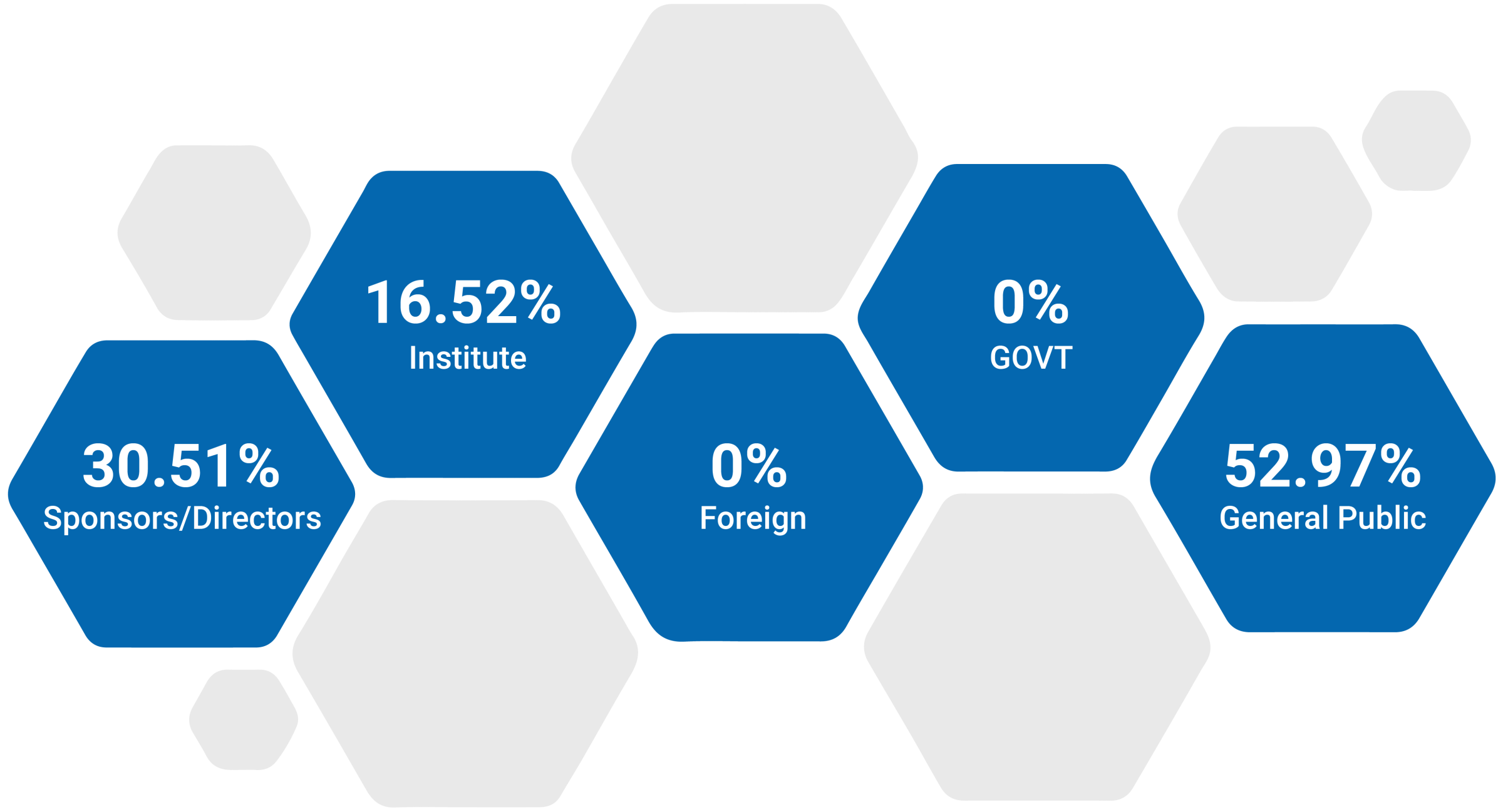 Shareholding structure: Sponsors/Directors 30.51%, Institute 16.52%, Foreign 0%, Government 0%, General Public 52.97%